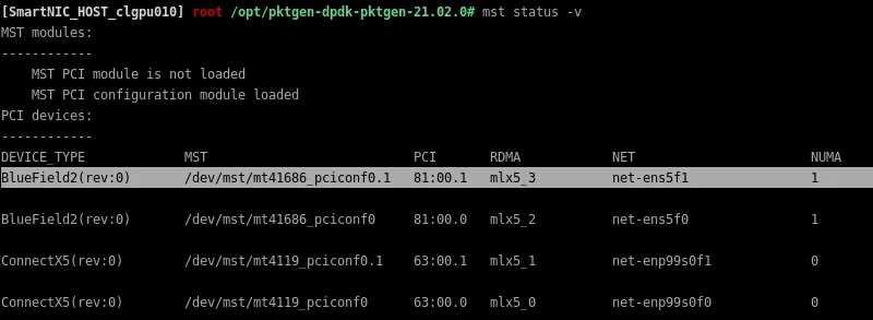 PCI ID and further important details for the ports to be used in pktgen