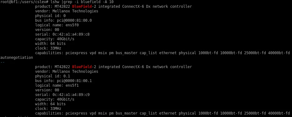 Always listen to lshw instead of your instincts. Check ‘capacity’ that is shown as 40Gbps only