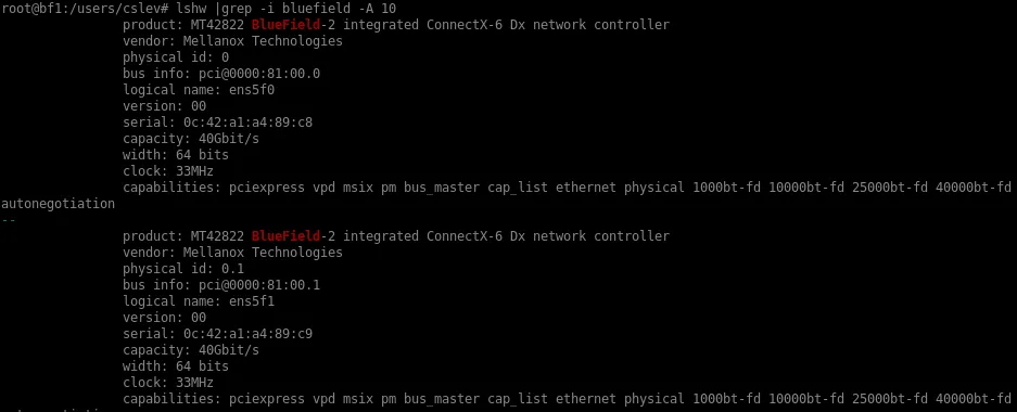 lshw shows that we have a Bluefield installed, and it has two 40Gbps ports identified by ens5f0 and ens5f1.