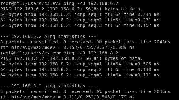 Pinging the other end of the topology using both ports